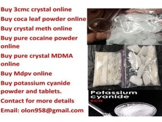 Supply Ephedrine hcl, Ketamine hcl, Heroin, LSD, Crystal Meth, pure MDMA, xtc and Cocaine online.